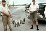 fishermen, string of fish, fish catch, 1962, 1960s, SFIV02P12_04