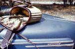 basket, fish catch, Mercury Car, Wisconsin, 1950s, SFIV02P13_06