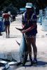 Tuna, Dock, fish catch, SFIV02P13_17