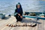 fish, fisherman, dock, lake, water, fish catch, man, male, Manitoba, Canada, 1970, 1970s, SFIV02P15_15