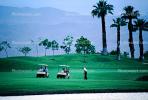 Palm Springs, Golf Carts, palm trees
