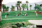 golf carts, sand trap, Palm Springs, SGFV01P08_06