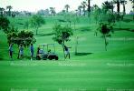 Teeing, Golf Cart, trees, golfers, Palm Springs