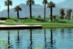 sand trap, water hazard, lake, golfer, golf cart, trees, Palm Desert, California, SGFV01P09_18.2658