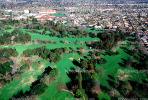 Golf Course, trees, green, Sacramento, California, SGFV01P11_04