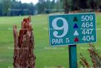 Hole #9, Man, Putting, Golfer, Golf Course in Blaine, Washington State, SGFV01P14_11.2658