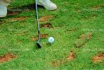 Man, Putting, Golfer, Golf Course in Blaine, Washington State, SGFV01P14_13.2658