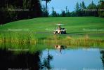 water hazard, golf cart, pond, lake