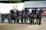 Horses, Cart, freight wagon, SHOV01P04_14