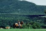 Morning Horseriding, Burklyn, Burke, Vermont, SHRV01P01_18