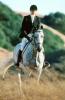 Arabian Horse, SHRV02P01_13