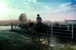 Cowboy, rope, cattle, SHRV02P03_05