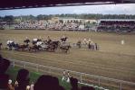 Cowboys, Stands, Crowds, Spectators, Cheyenne Frontier Days during 1950s, SHTV01P01_11