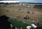 Stands, Crowds, Spectators, Cheyenne Frontier Days, 1950s, SHTV01P01_13