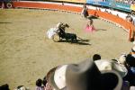 Bullring, Horse rider, matador, SHUV01P01_09