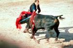 Toro, Bull, Blood, Matador, Bullring, SHUV01P01_12