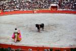Bullring, Matador and Bull, SHUV01P03_15