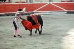 Bull, Matador, SHUV01P06_06