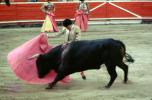 Bull, Matador, SHUV01P06_08