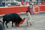 Bull, Matador, SHUV01P06_09