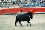 Bull, Matador, SHUV01P06_11