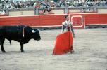 Bull, Matador, SHUV01P06_12