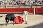 Bull, Matador, SHUV01P06_15