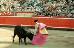 Bull, Matador, SHUV01P07_11