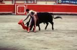 Bull, Matador, SHUV01P08_06