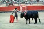 Bull, Matador, SHUV01P08_07