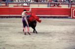 Bull, Matador