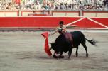 Bull, Matador, SHUV01P08_10