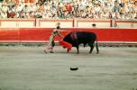 Bull, Matador, SHUV01P08_11