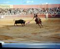 Bull, Matador, SHUV01P08_13