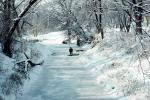 Snow, Street, Trees, Winter, Ice, SKFV01P01_15