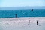 Beach, Sand, Wind, Windy, Flying a Kite, Waves, Pacific Ocean, SKTV01P01_07