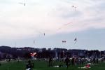 Flying a Kite, SKTV01P01_17