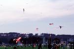 Flying a Kite, SKTV01P01_18