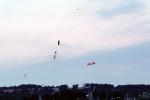 Flying a Kite, SKTV01P02_01