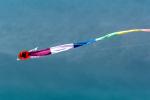 Flying a Kite, SKTV01P02_02