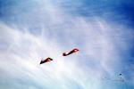 Flying a Kite, SKTV01P02_04