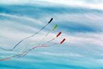 Flying a Kite, SKTV01P02_09