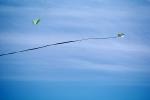 Flying a Kite, SKTV01P02_16