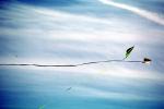 Flying a Kite, SKTV01P02_17