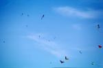Flying a Kite, SKTV01P02_18