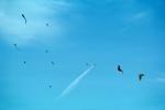 Flying a Kite, SKTV01P03_02