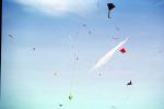 Flying a Kite, SKTV01P03_07