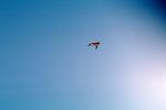 Flying a Kite, SKTV01P04_01