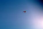 Flying a Kite, SKTV01P04_02