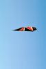 Flying a Kite, SKTV01P04_05